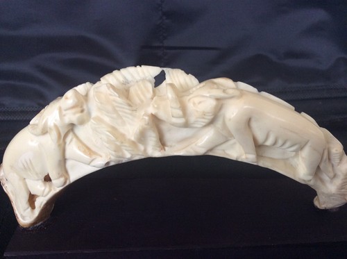 Dent phacochere sculptée - phacochere,