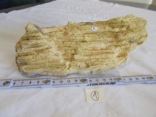 FOSSILE.BOIS PETRIFIE.FRANCE.CHARENTES.MASSE 1000 GRAMMES.