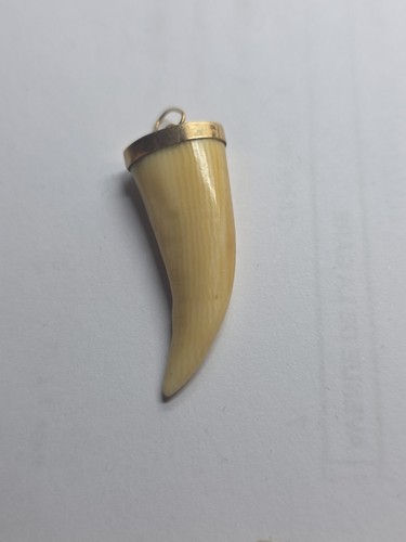 Beau pendentif dent - ,