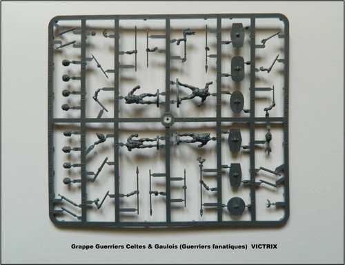 Victrix grappe guerriers - victrix,
