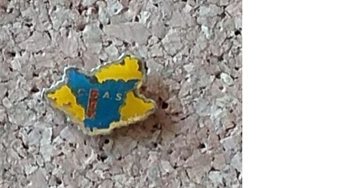 Pin edf gdf ccas - pin's,