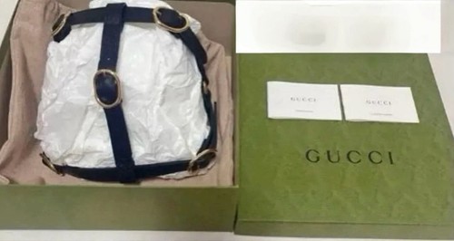 Harnais pour chien gucci - harnais,