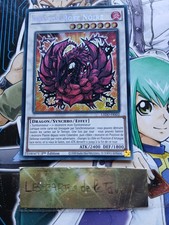 Carte YU GI-OH! Dragon rose