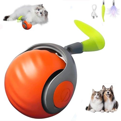 Jouet balle interactif pour - jouet,