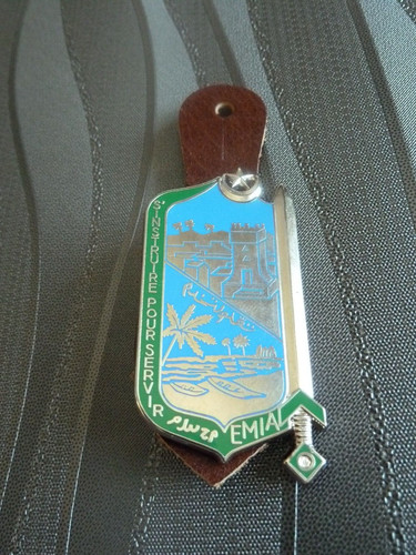 Military badge joint school - badge, of