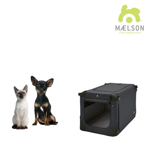 Maelson doux chenil - doux,