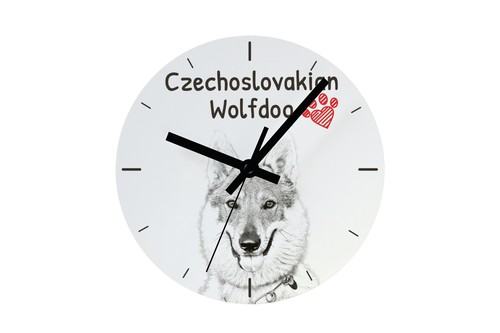Chien loup tchécoslovaque - chien,