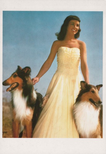 Carte postale aristocrats 1993 - carte,