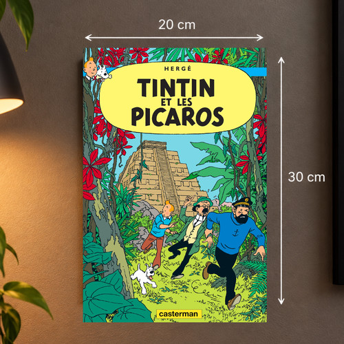 Plaque métal tintin les - plaque,