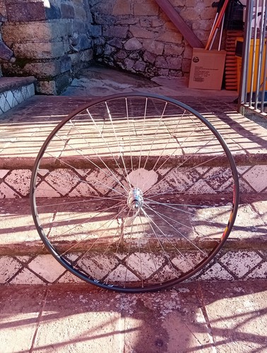 Campagnolo roue avant - , 26