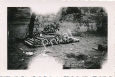 Photo WK II Wehrmacht