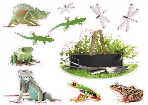 Grenouilles lézard - grenouilles, &
