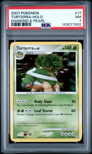 2007 torterra holo - 2007, pokemon