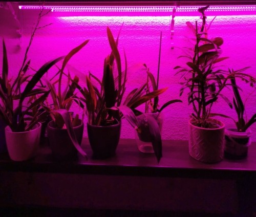 24w led grow - led, t5
