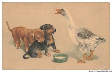 BY-BFP2-1043-CHIEN - DEUX