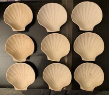Lot de 9 coquilles Saint