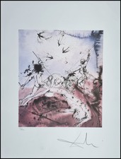 Salvador Dali The Battle Avec