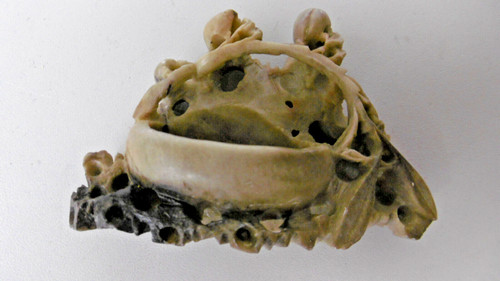 Rince pinceaux sculpte - rince,