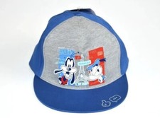 DISNEY - Disneyland Paris - Dingo/Goofy Et Donald - Casquette Grise Et Bleue 