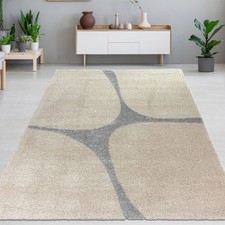 Tapis shaggy doux pour le salon moderne en beige gris à poils longs - facile d'e