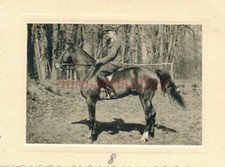 Photo, Nachl. Pilote de la