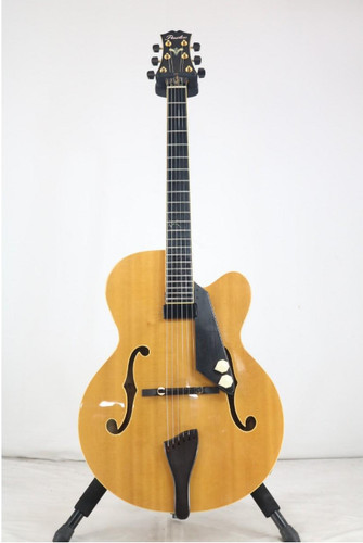 Acoustic electric guitar - electric,