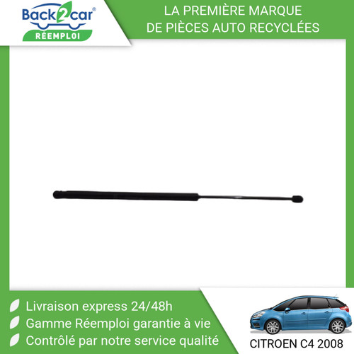 Verin gauche hayon - gauche,