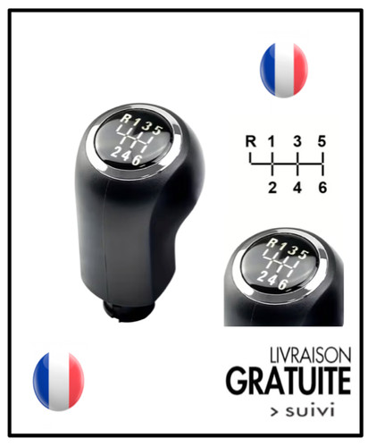 Pommeau levier vitesses pour - 6,