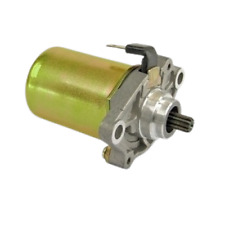 Démarreur électrique pour