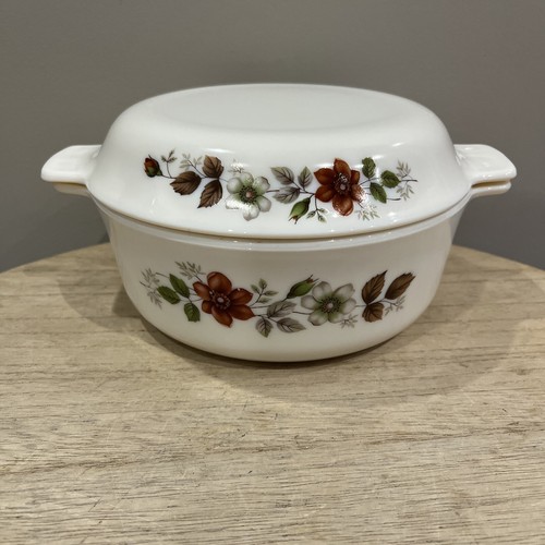 Plat cocotte marmite - plat,