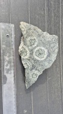 Rare diorite orbiculaire - rare,
