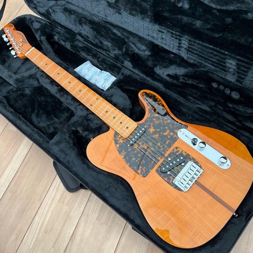 Guitare électrique - h.s.,