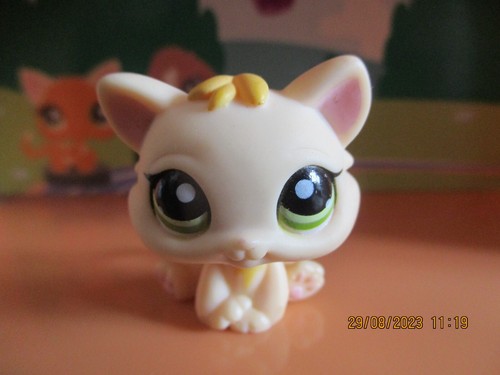 Petshop chaton 1128 - chaton, #1128