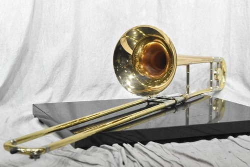 Boîtier rigide trombone