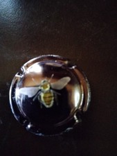 capsule MARINA D  PALM  No 102j