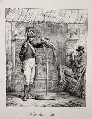 Est beau jako lithographie - est,
