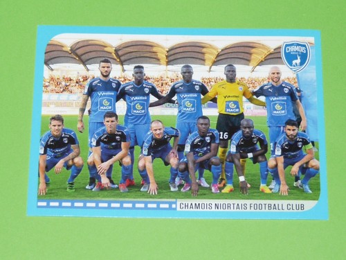 888 equipe chamois niortais - chamois,