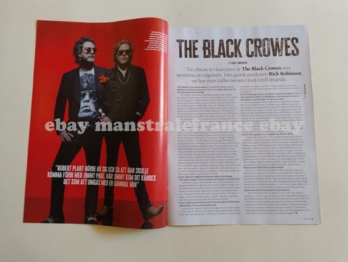 The black crowes axel rudi - the,