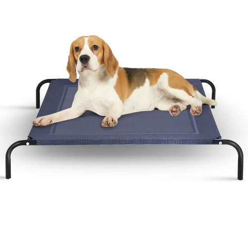 Lit pour chien - chien, surélevé