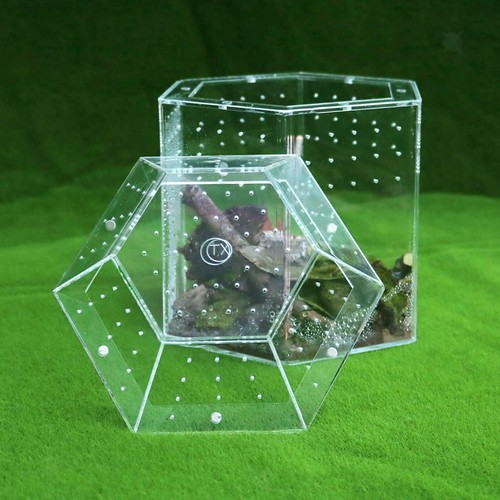 Terrarium pour reptiles