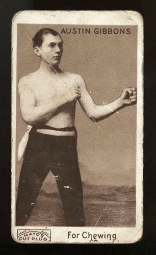 1890 n310 mayo - n310, cut
