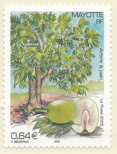 Timbre mayotte 172 neuf - timbre, sans