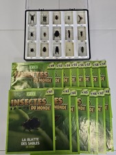 Lot 3 Collection Insectes du