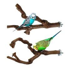 Perchoir Perroquet Naturel