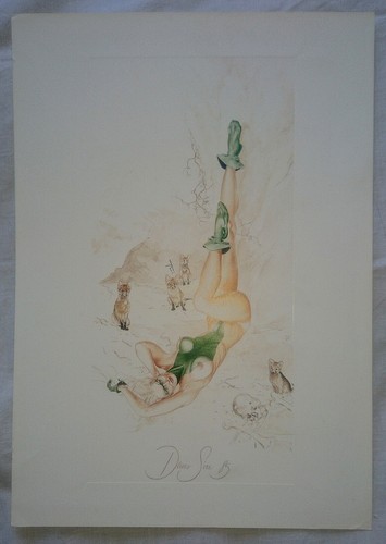 Denis sire 1 - 1, illustration