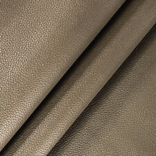 Écaille Douce Brillante Grise