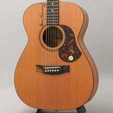 Guitare électrique acoustique
