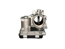 55255919 corps de papillon