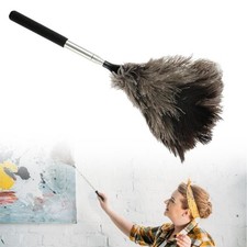 Plumeau en Plumes d'Autruche