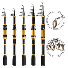 Canne à pêche télescopique